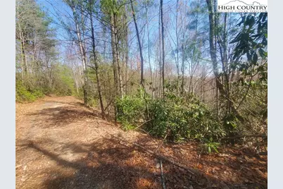 Tbd Falcon Ridge Trail, West Jefferson, NC 28694 - Photo 5