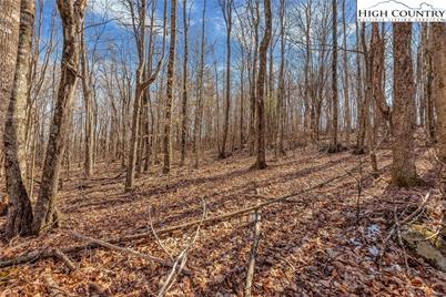 Tbd Roaring Branch Road, Lansing, NC 28643 - Photo 17