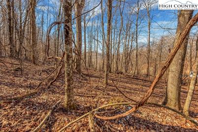 Tbd Roaring Branch Road, Lansing, NC 28643 - Photo 15