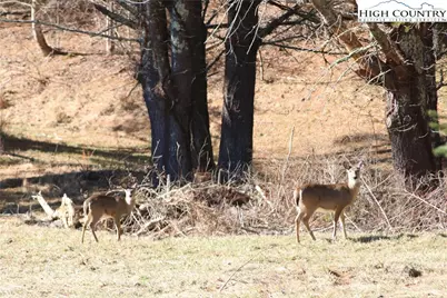 Lots 47 & 48 Abaco Drive, Vilas, NC 28692 - Photo 41