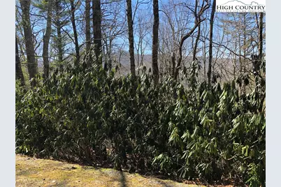 Lots 47 & 48 Abaco Drive, Vilas, NC 28692 - Photo 13