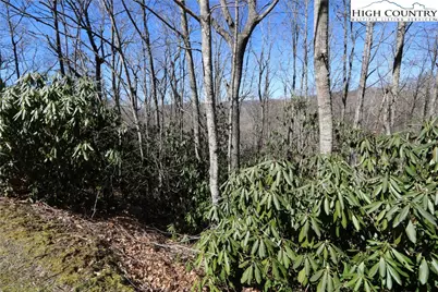 Lots 47 & 48 Abaco Drive, Vilas, NC 28692 - Photo 11