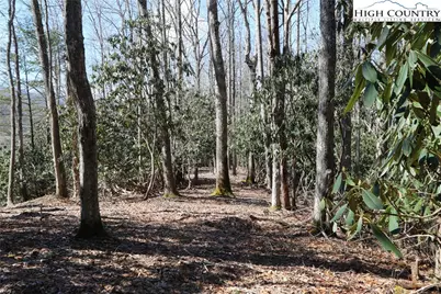 Lots 47 & 48 Abaco Drive, Vilas, NC 28692 - Photo 23