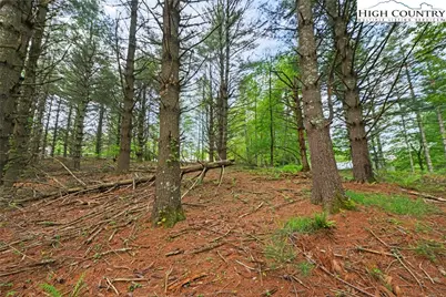 Lots 20 & 21 Noble Drive, Fleetwood, NC 28626 - Photo 7