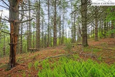 Lots 20 & 21 Noble Drive, Fleetwood, NC 28626 - Photo 5