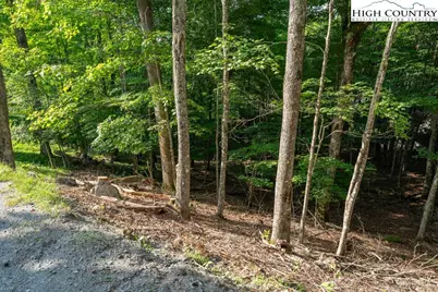 907 Charter Hills Road, Beech Mountain, NC 28604 - Photo 7