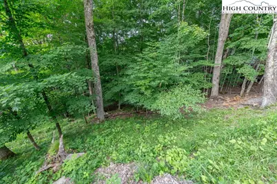 907 Charter Hills Road, Beech Mountain, NC 28604 - Photo 13