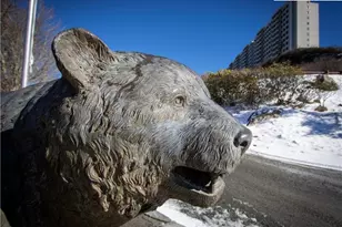 303 Sugar Top Dr, Sugar Mountain, NC 28604 - Photo 29