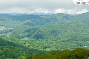 303 Sugar Top Dr, Sugar Mountain, NC 28604 - Photo 3