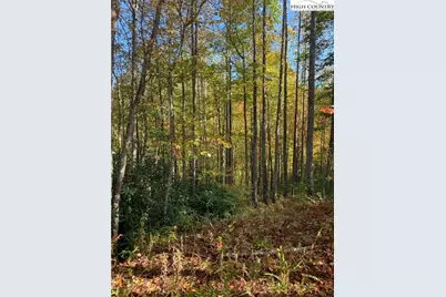 Lot# 556 Timber Rock Drive, Lenoir, NC 28645 - Photo 9