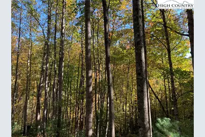 Lot# 556 Timber Rock Drive, Lenoir, NC 28645 - Photo 5