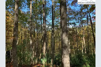 Lot# 556 Timber Rock Drive, Lenoir, NC 28645 - Photo 7