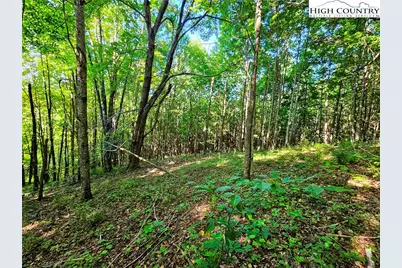 Tbd Immaculate Heart Way, Lansing, NC 28643 - Photo 3