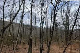 116 Aster Trail, Beech Mountain, NC 28604 - Photo 1