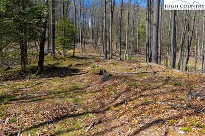 27 Wilderness Reserve Parkway, Deep Gap, NC 28618 - Photo 5