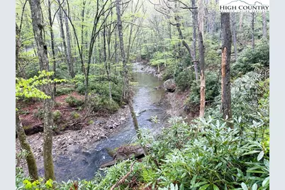 129 & 130 Firethorn Trail, Blowing Rock, NC 28605 - Photo 3