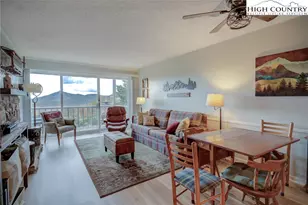 367 Skyleaf Dr, Sugar Mountain, NC 28604 - Photo 7