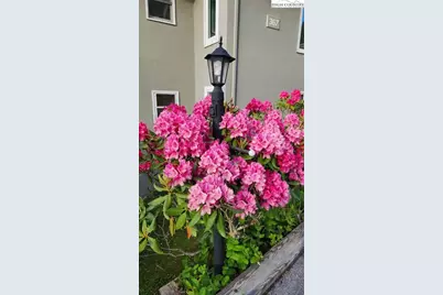 367 Skyleaf Drive #D-8, Sugar Mountain, NC 28604 - Photo 41