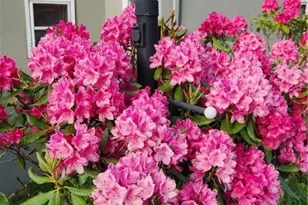 367 Skyleaf Dr, Sugar Mountain, NC 28604 - Photo 41