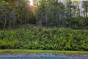 Lot 31 Riverstone, Laurel Springs, NC 28644 - Photo 1