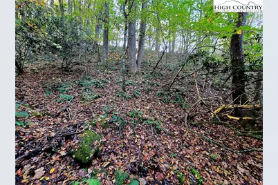 Lot 31 Riverstone, Laurel Springs, NC 28644 - Photo 7