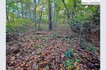 Lot 31 Riverstone, Laurel Springs, NC 28644 - Photo 5