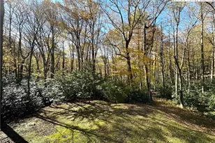 4102 US Hwy 221 S, Blowing Rock, NC 28605 - Photo 37