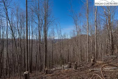 Tbd N US Hwy 421, Zionville, NC 28698 - Photo 19