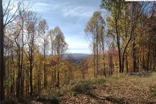 Tbd N US Hwy 421, Zionville, NC 28698 - Photo 1