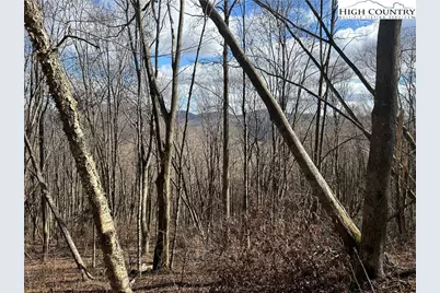 Lot 7 Woodfern Way, Todd, NC 28684 - Photo 41