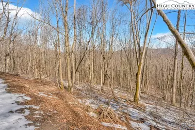 Lot 7 Woodfern Way, Todd, NC 28684 - Photo 11