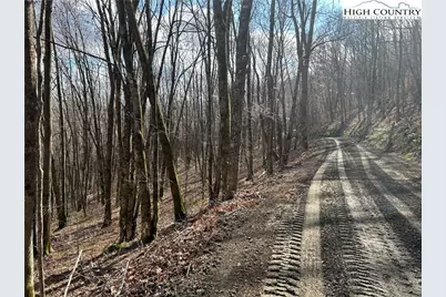 Lot 7 Woodfern Way, Todd, NC 28684 - Photo 45