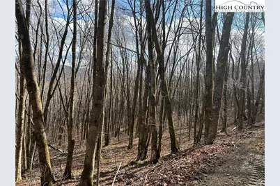 Lot 7 Woodfern Way, Todd, NC 28684 - Photo 43