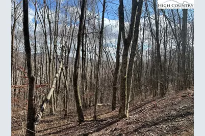 Lot 7 Woodfern Way, Todd, NC 28684 - Photo 49