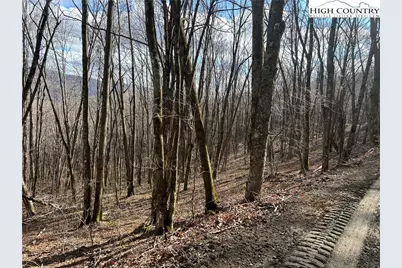 Lot 7 Woodfern Way, Todd, NC 28684 - Photo 47