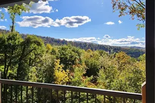 523 Pine Ridge Rd, Beech Mountain, NC 28604 - Photo 3