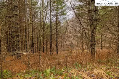 Lot #5 Alta Vista Lane, Sparta, NC 28675 - Photo 7