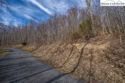Lot 25 Tbd Lake View Drive, Elk Park, NC 28622 - Photo 13