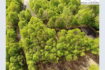 Lot 25 Tbd Lake View Drive, Elk Park, NC 28622 - Photo 7