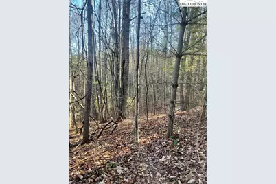 306 Marshalls Way, Jefferson, NC 28640 - Photo 15