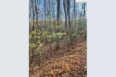 306 Marshalls Way, Jefferson, NC 28640 - Photo 19