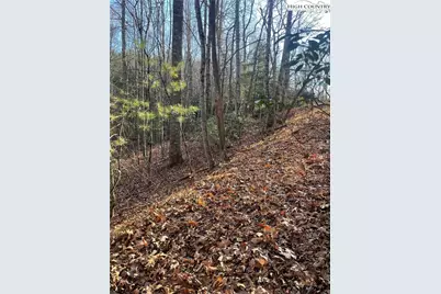 306 Marshalls Way, Jefferson, NC 28640 - Photo 17