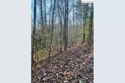 306 Marshalls Way, Jefferson, NC 28640 - Photo 13