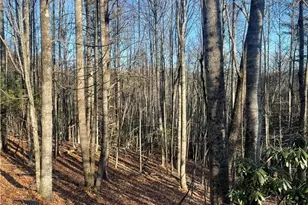 306 Marshall's Way, Jefferson, NC 28640 - Photo 1