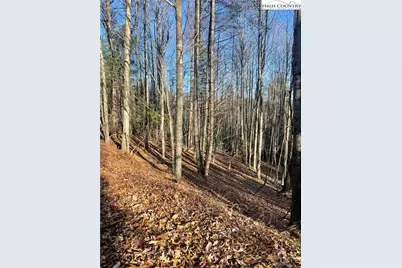 306 Marshalls Way, Jefferson, NC 28640 - Photo 9
