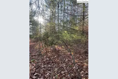 306 Marshalls Way, Jefferson, NC 28640 - Photo 11