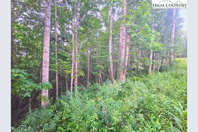 Lot 21 Eagles Landing Dr, Crumpler, NC 28617 - Photo 3