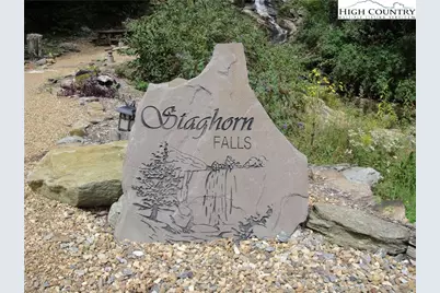 Lot 105 Pepper Bush Road, Purlear, NC 28665 - Photo 13