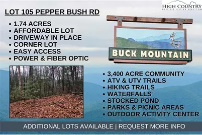 Lot 105 Pepper Bush Road, Purlear, NC 28665 - Photo 1