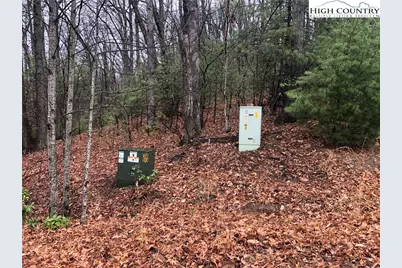 Lot 105 Pepper Bush Road, Purlear, NC 28665 - Photo 5